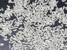 Gr11 चावल