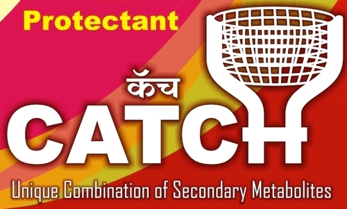 जड़ी-बूटी की कीटनाशक
