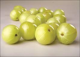 Natural Amla Extract / Gooseberry Extract Purity(%): 100 %