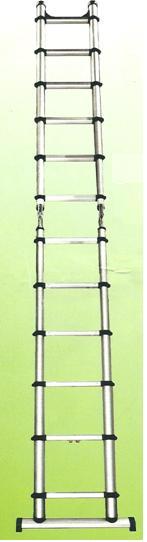 Telescopic Ladder