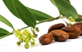 Natural Jojoba Oil Golden Ingredients: Herbal Extract