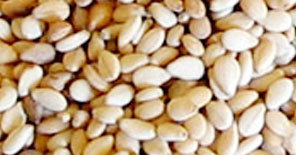 प्राकृतिक तिल का बीज