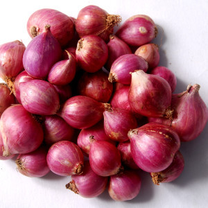 Small Onion