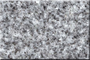 बैन ग्रे