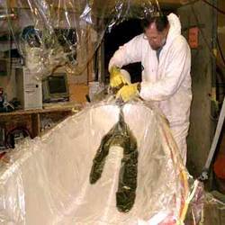 विनाइल एस्टर रेजिन