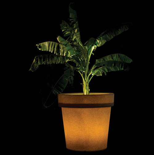 Designer Planters