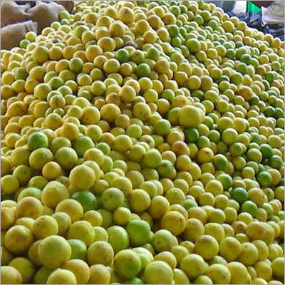 ताजा भारतीय नींबू