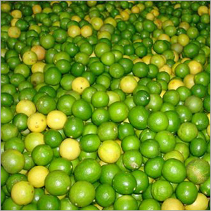 Fresh Yellow Lemon