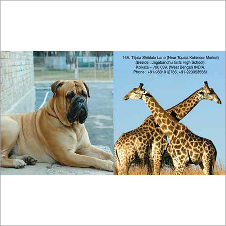 लेबल स्लीव्स