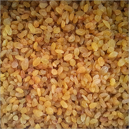 किशमिश पीला गोल