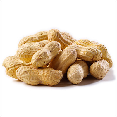 Groundnut Shells