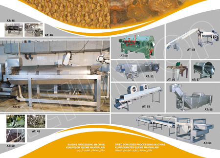Tomato Processing Machine