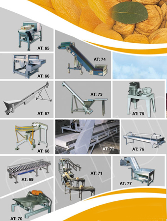 Fruit Belt Conveyor