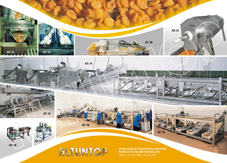 Apricot Processing Machine