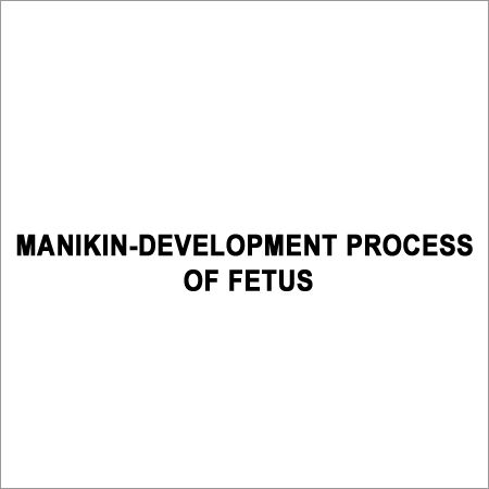 Manikin Development Fetus