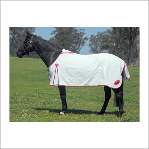 घोड़े के गर्मियों के रग्स