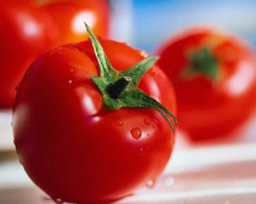 Tomatos (Local)