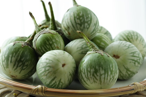 बैंगन (गोल)