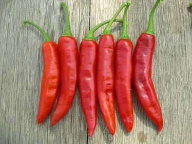 Chillies (Dried)