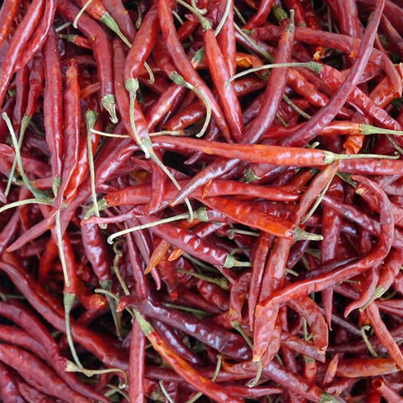 सूखी हुई लाल मिर्च