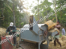  Paddy Thresher