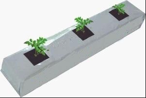 कॉयर ग्रो बैग्स