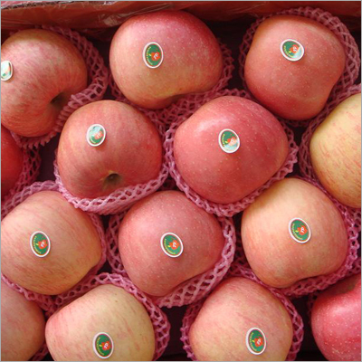 Fuji Apple