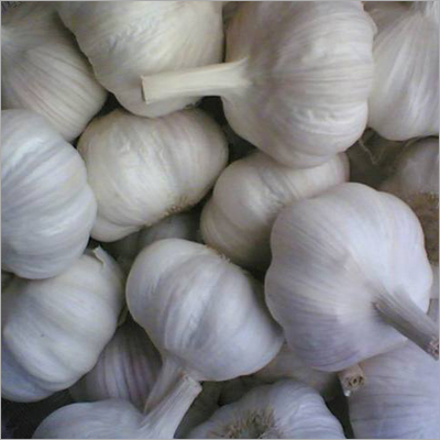 Organic Garlic