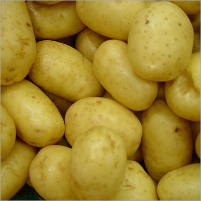 Fresh Potatoes