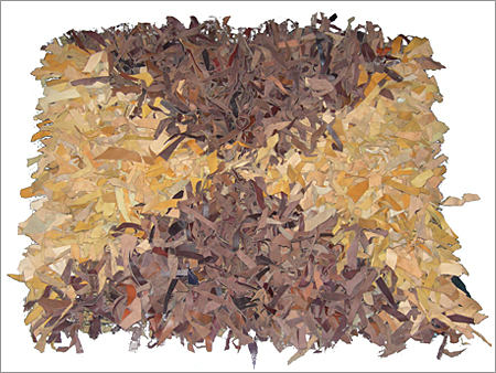 Leather Rugs