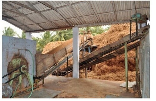 बेबी कोकोनट फाइबर