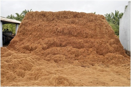 नारियल कॉयर फाइबर