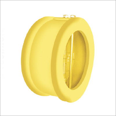Dual Plate Check Valves