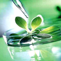 BIO SOFT HL 