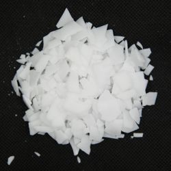 BIOSOFT NY