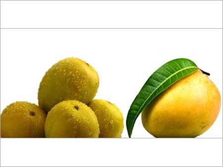 मैंगो एक्सप्रेस सर्विसेज