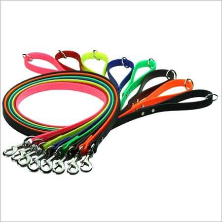 कुत्ते की ट्रेनिंग leash