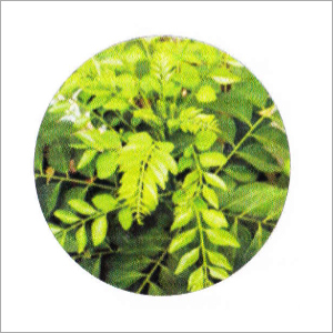 Karivembu