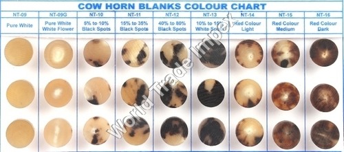 गाय के सींग का चार्ट