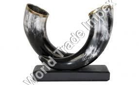 Black Polished Cow Horn