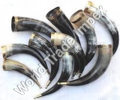 वाइकिंग पीने का सींग