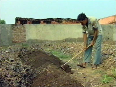 जैविक वर्मी कम्पोस्ट