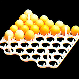 अंडे की ट्रे (42)