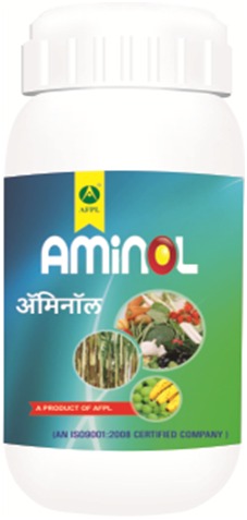 ऐमिनोल