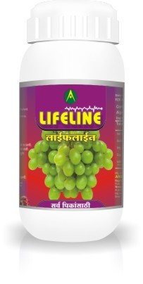 लाइफ लाइन