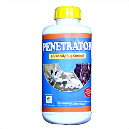 Mealy Bug Control
