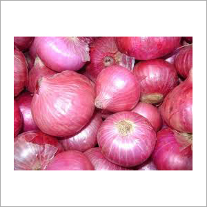 Red Onion - Variable Size, Round Shape, Vibrant Red Color | Easy Storage, High Quality, Pungent Taste, Multiple Layers, Firm Texture, Versatile Use