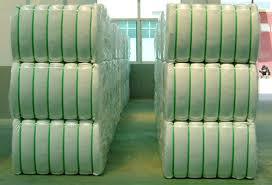 Polyester Pet Strap - Pet Material, 12-32 Mm Width, 0.6-1.27 Mm Thickness, Green/black/blue Color | High Tensile Strength, Shock Resistant, Non-toxic