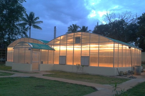 Green House 
