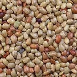 Horse Gram - Kulthi